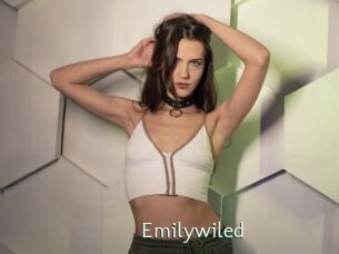 emilywiled 1 grosse chatte poilue