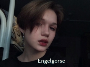 Engelgorse