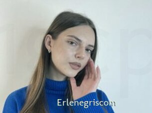 Erlenegriscom
