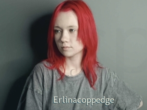 Erlinacoppedge