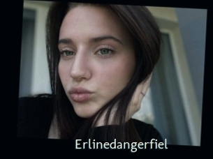 Erlinedangerfiel