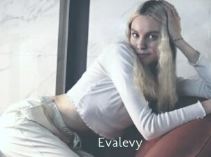Evalevy