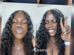 Evamae