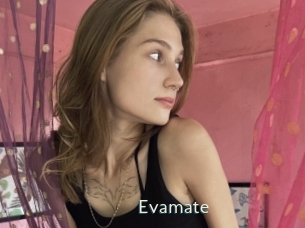 Evamate