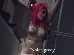 Evolet_greey