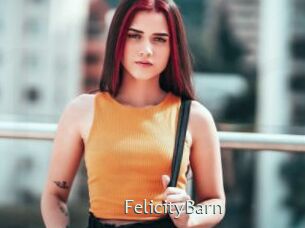FelicityBarn