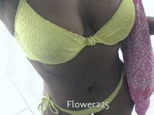 Flower225