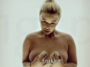 FoxLice