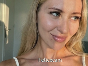 Felicecam