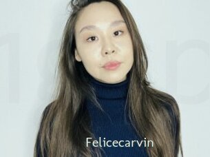 Felicecarvin