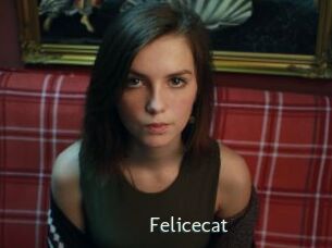 Felicecat