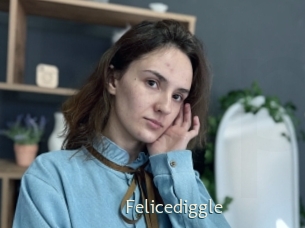 Felicediggle
