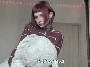 Felixwinter