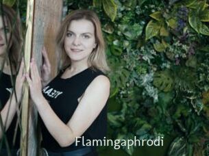 Flamingaphrodi