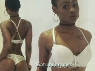 Gatubela_masc