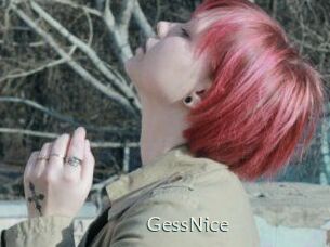 GessNice