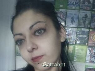 Gattahot