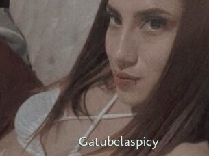 Gatubelaspicy