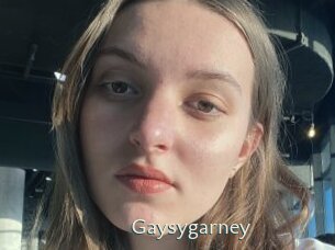 Gaysygarney