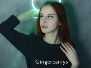 gingercarrys 1 grosse chatte poilue