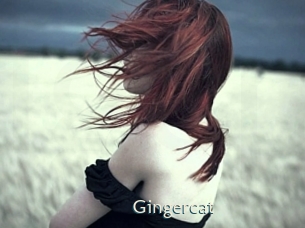 Gingercat
