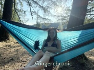 Gingerchronic