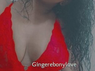 gingerebonylove 1 grosse chatte poilue