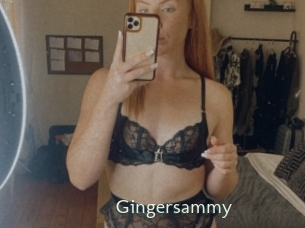 Gingersammy