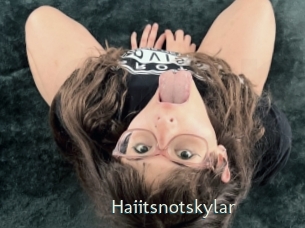 Haiitsnotskylar