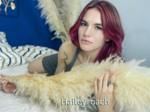 Haileyroach