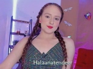 halaanatendeer 1 grosse chatte poilue