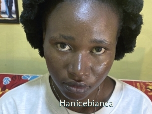hanicebianca 1 grosse chatte poilue