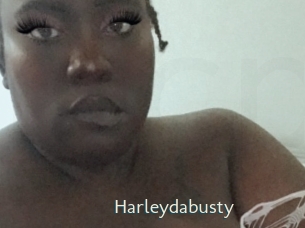 Harleydabusty