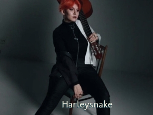 Harleysnake