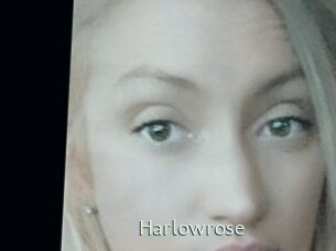 Harlowrose