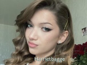 Harrietbagge