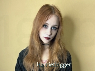 Harrietbigger