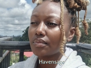 havensage 1 grosse chatte poilue
