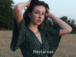 Heylarose
