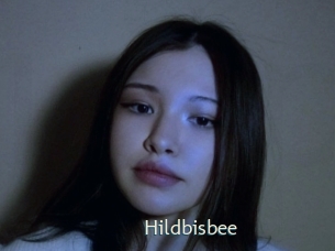 Hildbisbee