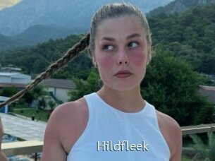 Hildfleek
