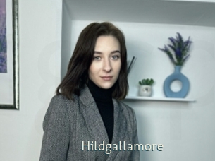 Hildgallamore