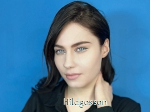 Hildgosson