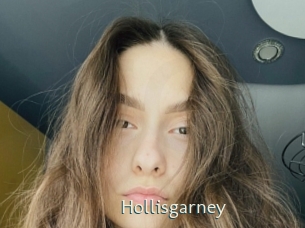 Hollisgarney