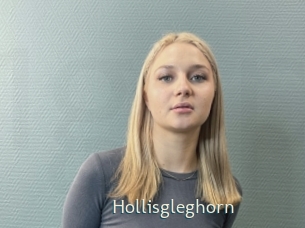 Hollisgleghorn
