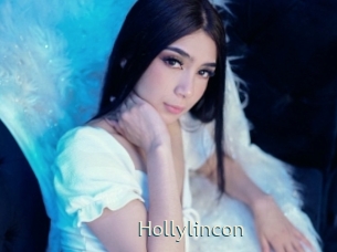 hollylincon 1 grosse chatte poilue