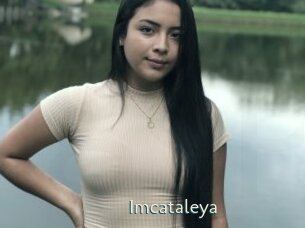 Imcataleya