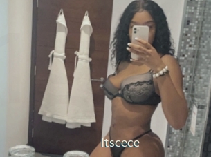 itscece 1 grosse chatte poilue