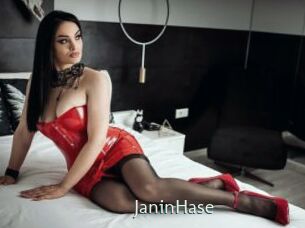 JaninHase