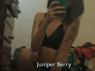 Juniper_Berry